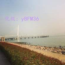 ʦ