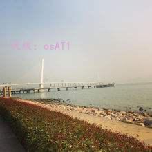 ˽